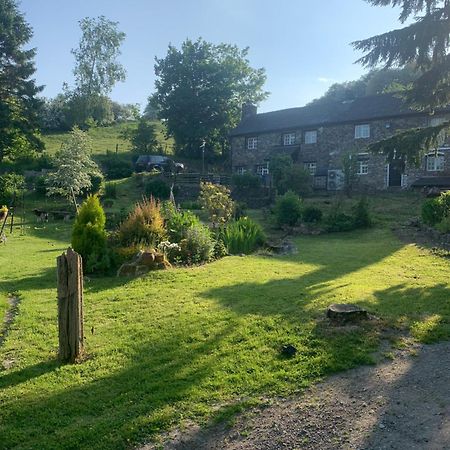 Apartmán Pant-Y-Creolen Llanfyllin Exteriér fotografie