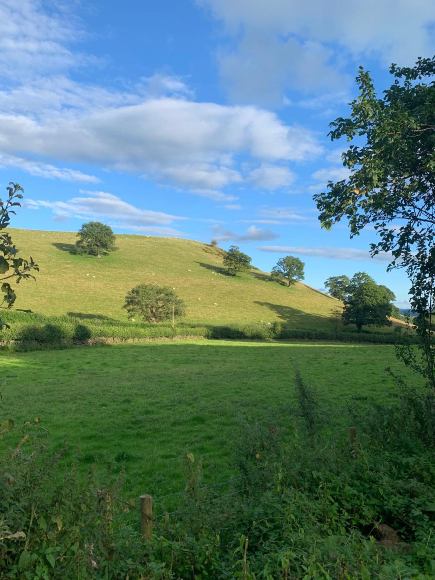 Apartmán Pant-Y-Creolen Llanfyllin Exteriér fotografie
