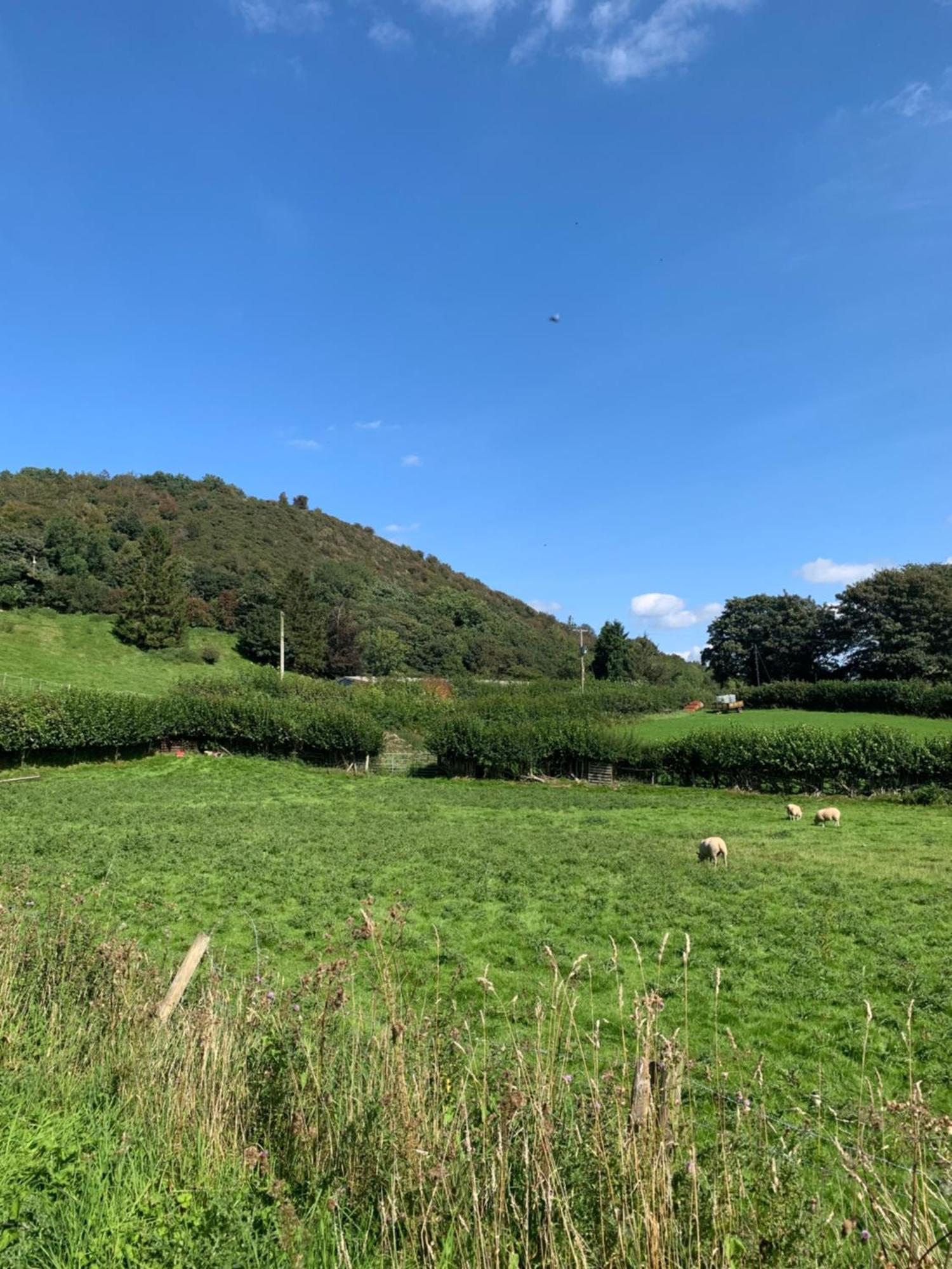 Apartmán Pant-Y-Creolen Llanfyllin Exteriér fotografie