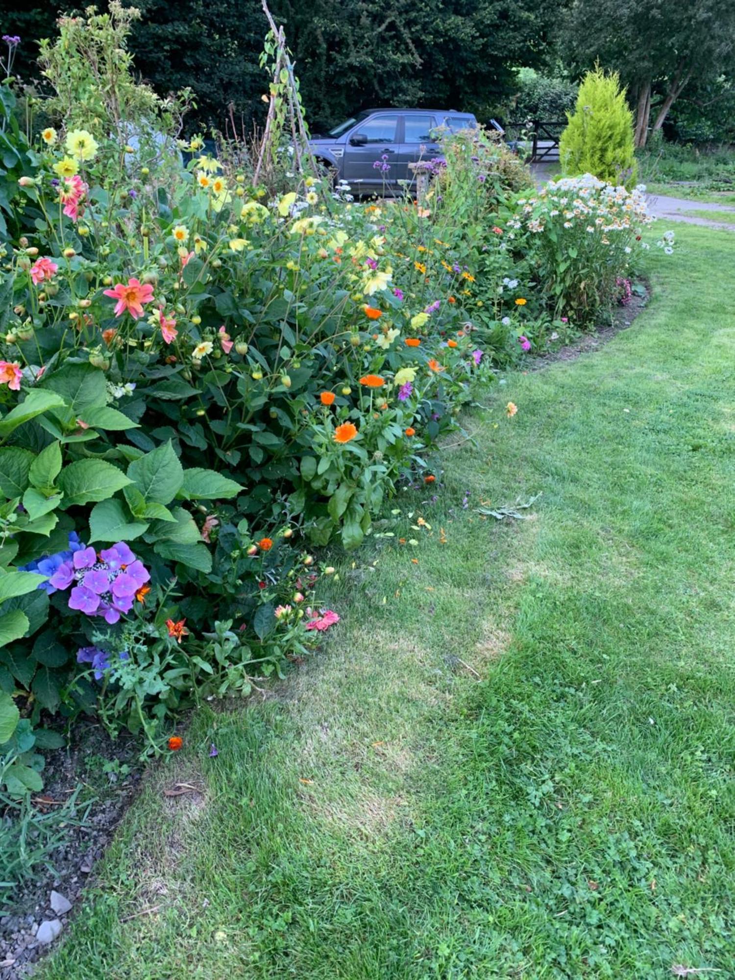 Apartmán Pant-Y-Creolen Llanfyllin Exteriér fotografie